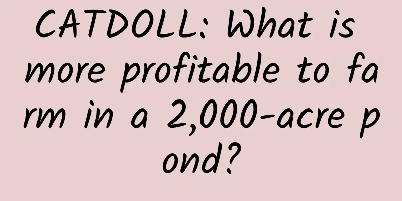 CATDOLL: What is more profitable to farm in a 2,000-acre pond?