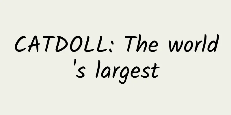 CATDOLL: The world's largest