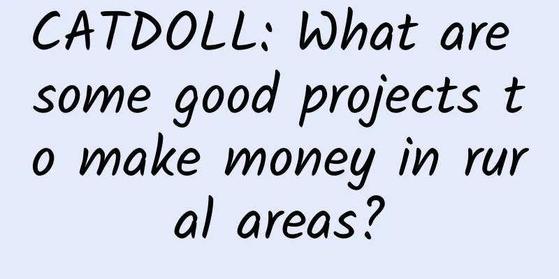 CATDOLL: What are some good projects to make money in rural areas?