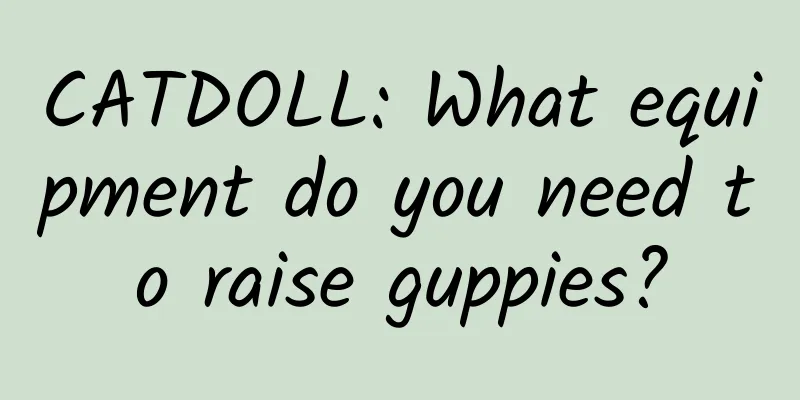 CATDOLL: What equipment do you need to raise guppies?