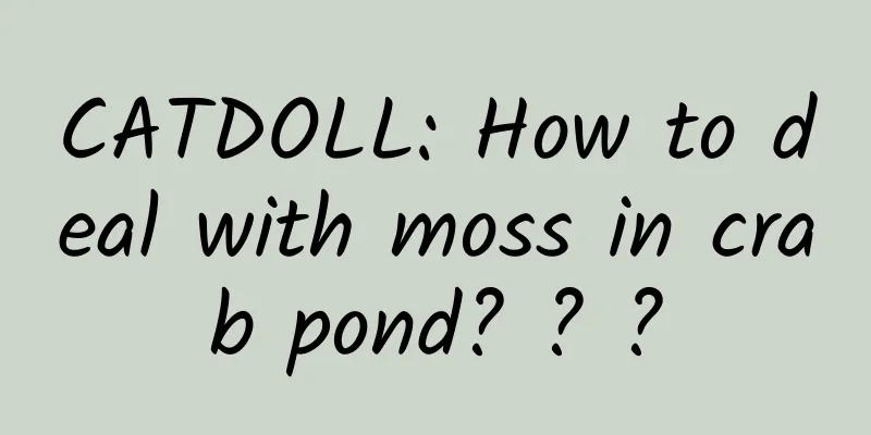CATDOLL: How to deal with moss in crab pond? ? ?