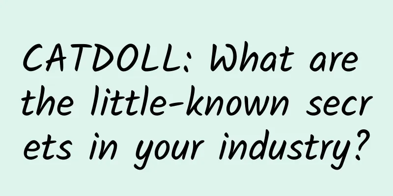 CATDOLL: What are the little-known secrets in your industry?