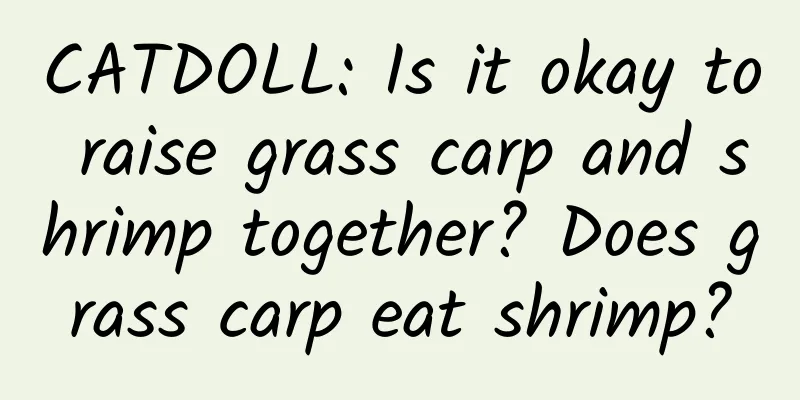 CATDOLL: Is it okay to raise grass carp and shrimp together? Does grass carp eat shrimp?