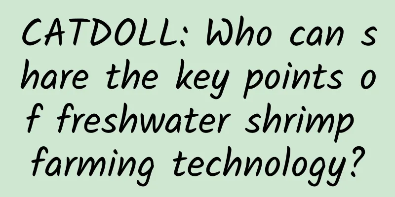 CATDOLL: Who can share the key points of freshwater shrimp farming technology?
