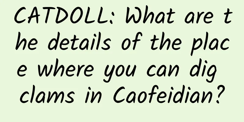 CATDOLL: What are the details of the place where you can dig clams in Caofeidian?
