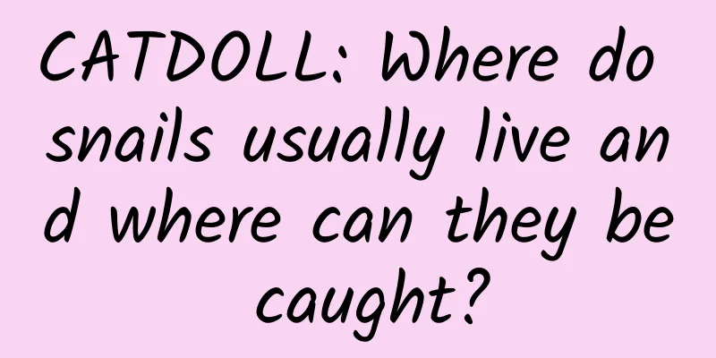 CATDOLL: Where do snails usually live and where can they be caught?