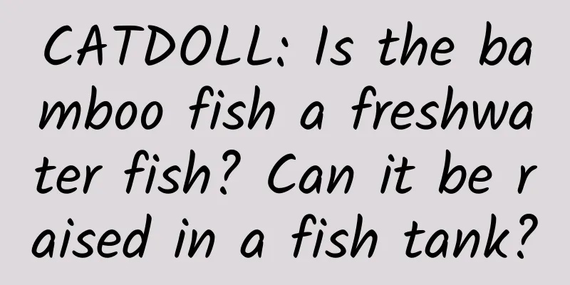 CATDOLL: Is the bamboo fish a freshwater fish? Can it be raised in a fish tank?