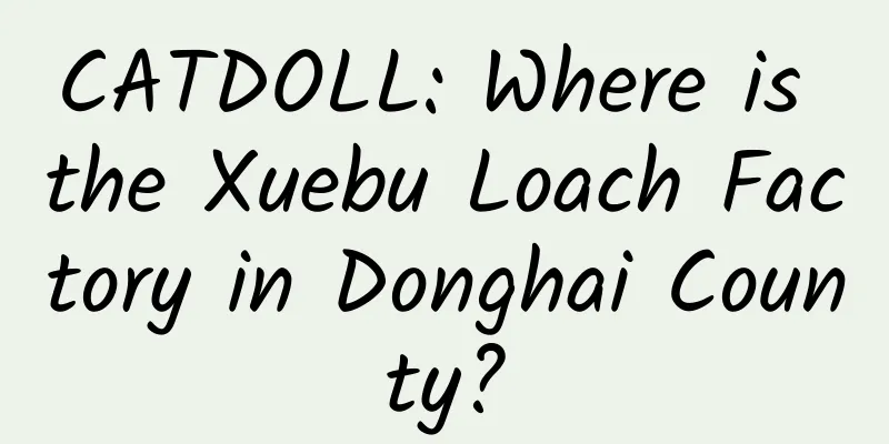 CATDOLL: Where is the Xuebu Loach Factory in Donghai County?