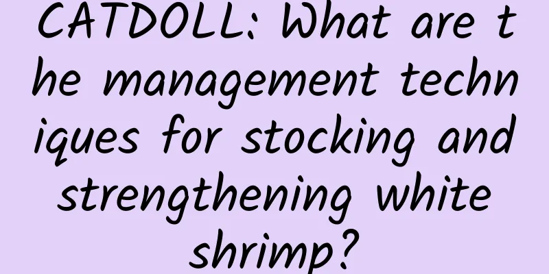 CATDOLL: What are the management techniques for stocking and strengthening white shrimp?