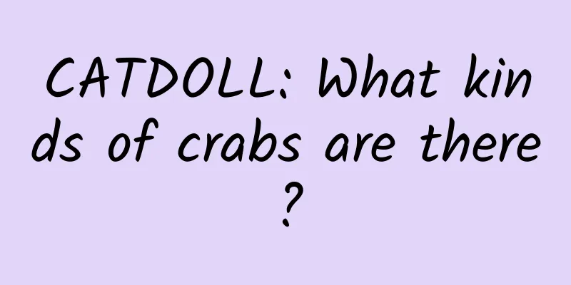 CATDOLL: What kinds of crabs are there?