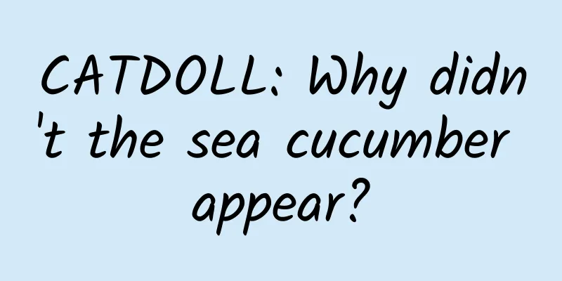 CATDOLL: Why didn't the sea cucumber appear?