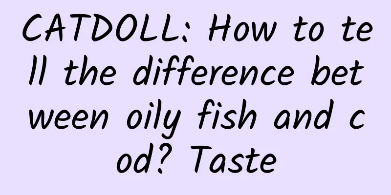 CATDOLL: How to tell the difference between oily fish and cod? Taste
