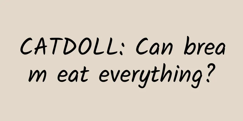 CATDOLL: Can bream eat everything?