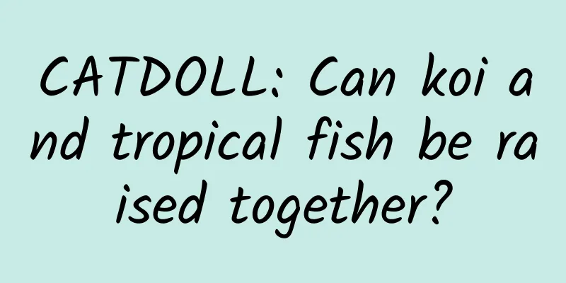 CATDOLL: Can koi and tropical fish be raised together?