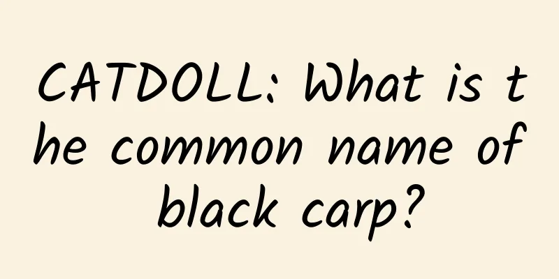 CATDOLL: What is the common name of black carp?
