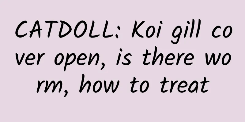 CATDOLL: Koi gill cover open, is there worm, how to treat