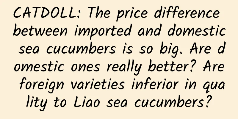 CATDOLL: The price difference between imported and domestic sea cucumbers is so big. Are domestic ones really better? Are foreign varieties inferior in quality to Liao sea cucumbers?