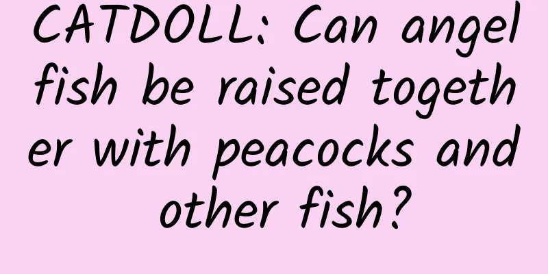 CATDOLL: Can angelfish be raised together with peacocks and other fish?