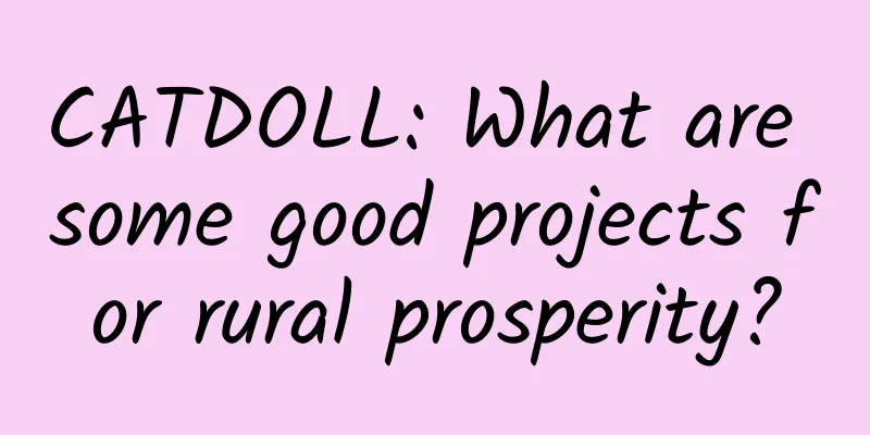 CATDOLL: What are some good projects for rural prosperity?