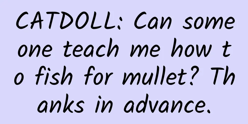 CATDOLL: Can someone teach me how to fish for mullet? Thanks in advance.
