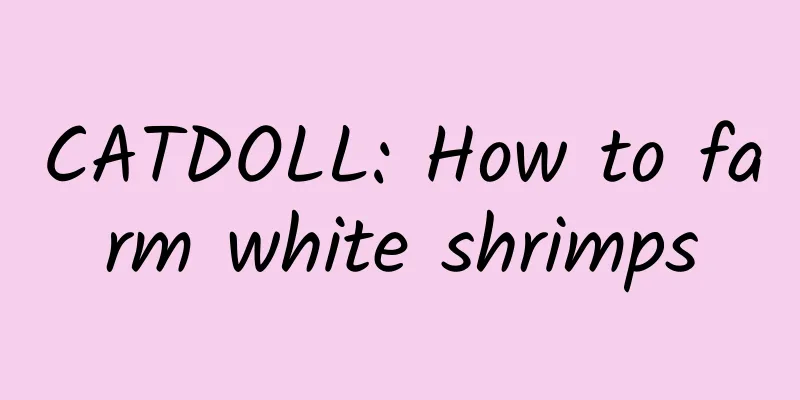 CATDOLL: How to farm white shrimps