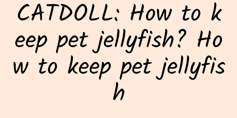 CATDOLL: How to keep pet jellyfish? How to keep pet jellyfish