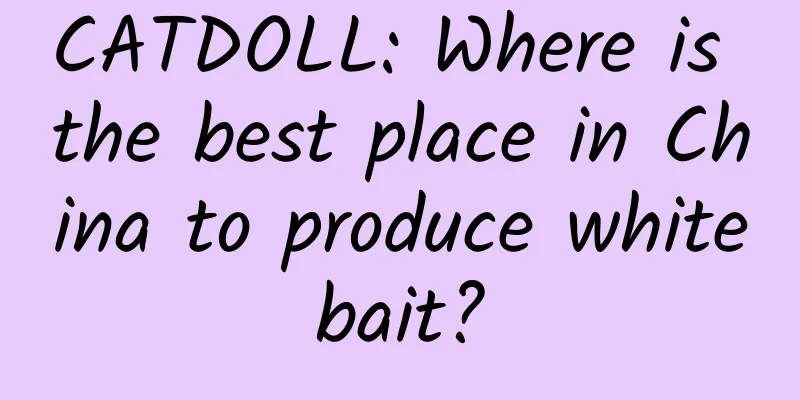 CATDOLL: Where is the best place in China to produce whitebait?