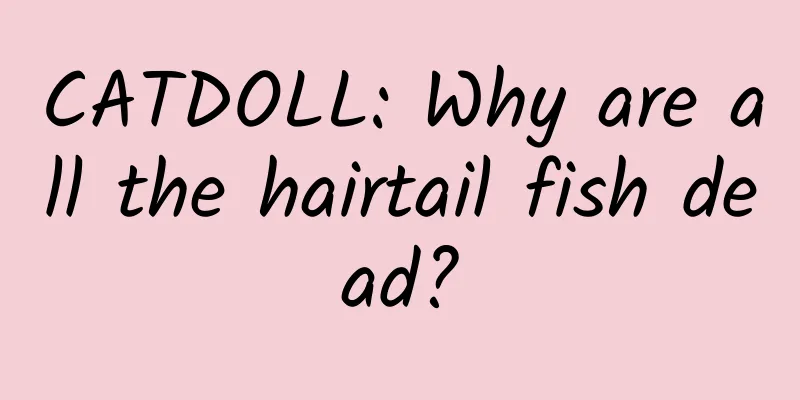 CATDOLL: Why are all the hairtail fish dead?