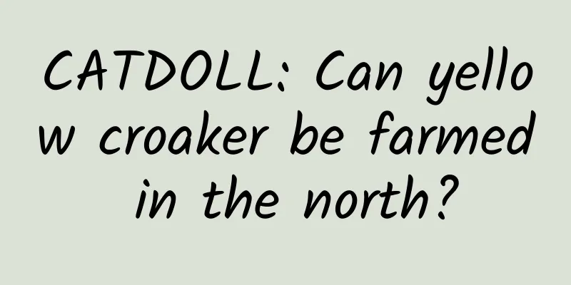 CATDOLL: Can yellow croaker be farmed in the north?