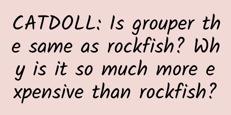 CATDOLL: Is grouper the same as rockfish? Why is it so much more expensive than rockfish?