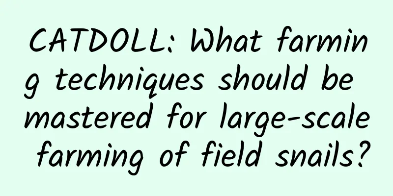 CATDOLL: What farming techniques should be mastered for large-scale farming of field snails?