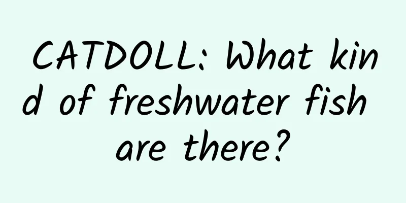 CATDOLL: What kind of freshwater fish are there?