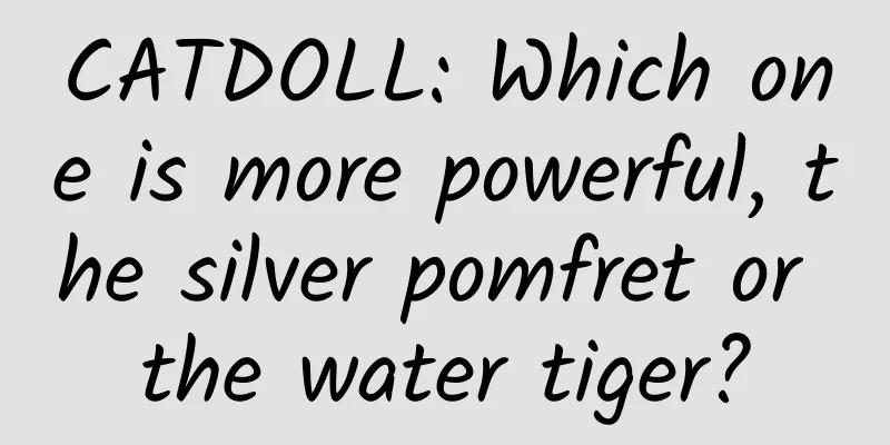 CATDOLL: Which one is more powerful, the silver pomfret or the water tiger?