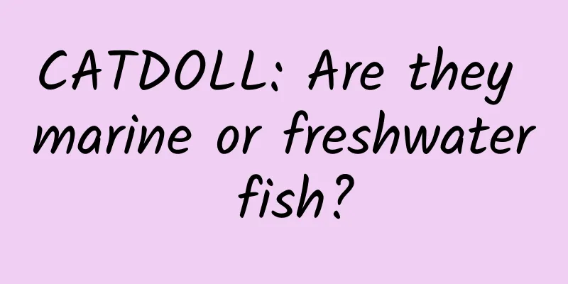 CATDOLL: Are they marine or freshwater fish?