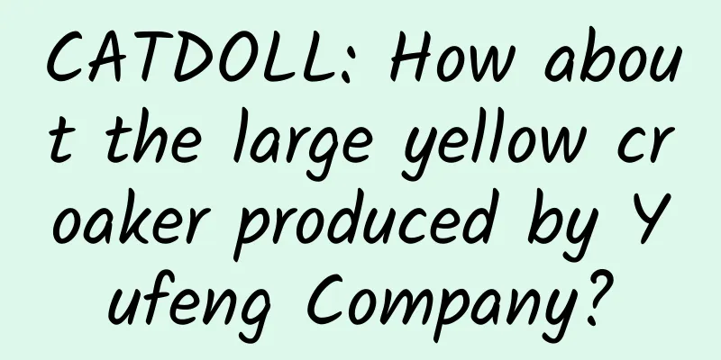 CATDOLL: How about the large yellow croaker produced by Yufeng Company?