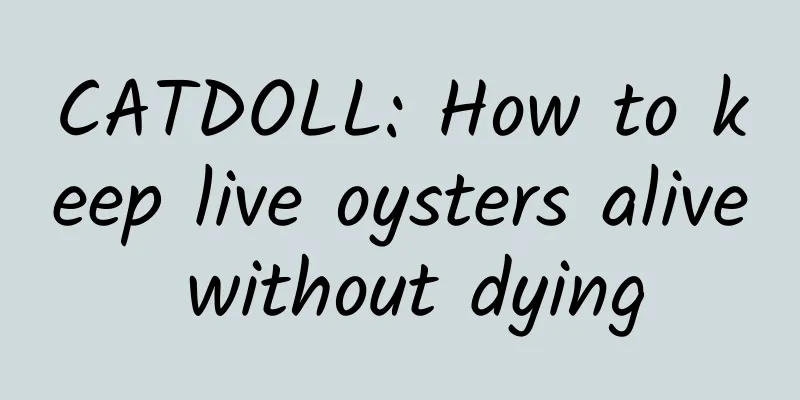 CATDOLL: How to keep live oysters alive without dying