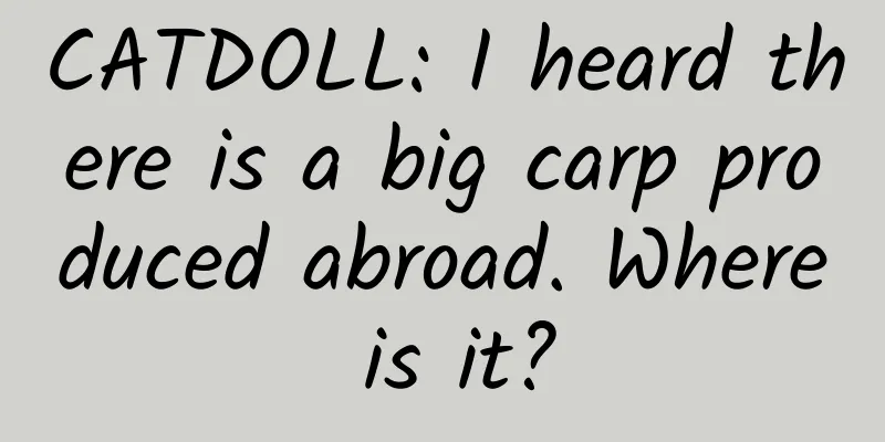CATDOLL: I heard there is a big carp produced abroad. Where is it?