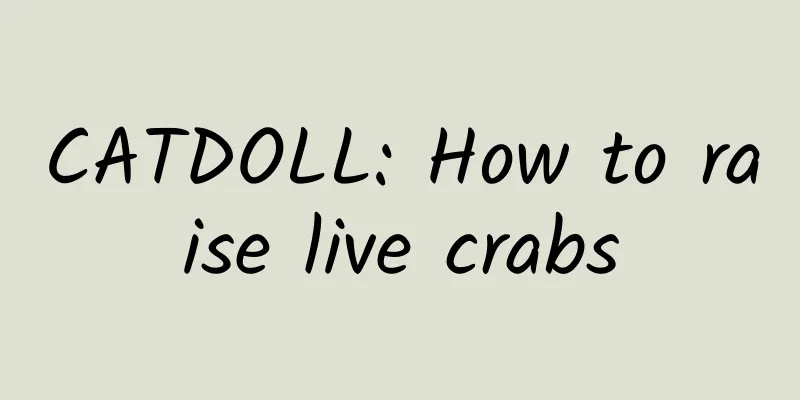 CATDOLL: How to raise live crabs