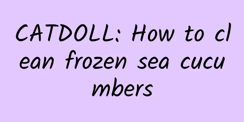 CATDOLL: How to clean frozen sea cucumbers