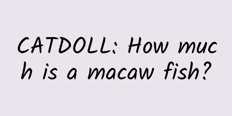 CATDOLL: How much is a macaw fish?