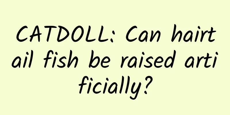CATDOLL: Can hairtail fish be raised artificially?