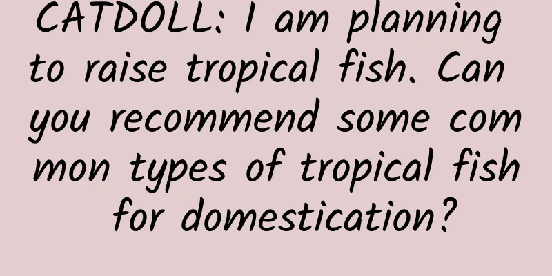 CATDOLL: I am planning to raise tropical fish. Can you recommend some common types of tropical fish for domestication?