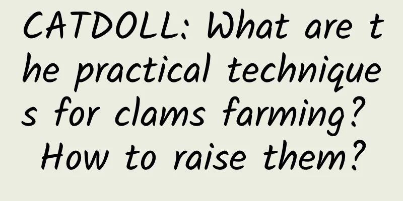 CATDOLL: What are the practical techniques for clams farming? How to raise them?