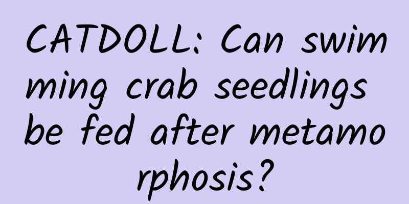 CATDOLL: Can swimming crab seedlings be fed after metamorphosis?