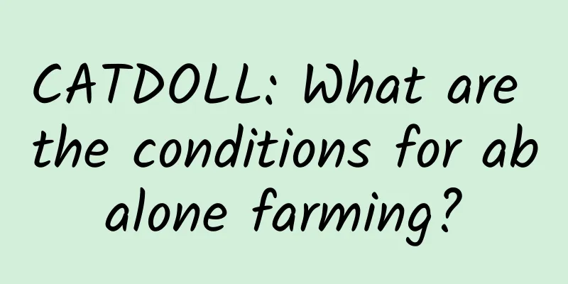 CATDOLL: What are the conditions for abalone farming?