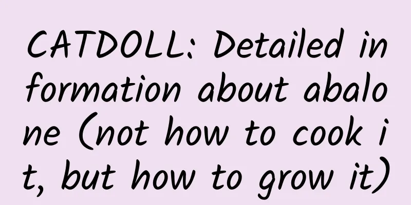 CATDOLL: Detailed information about abalone (not how to cook it, but how to grow it)