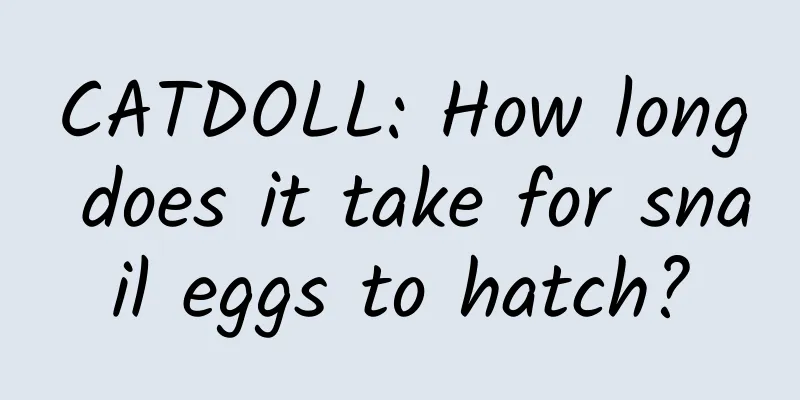 CATDOLL: How long does it take for snail eggs to hatch?
