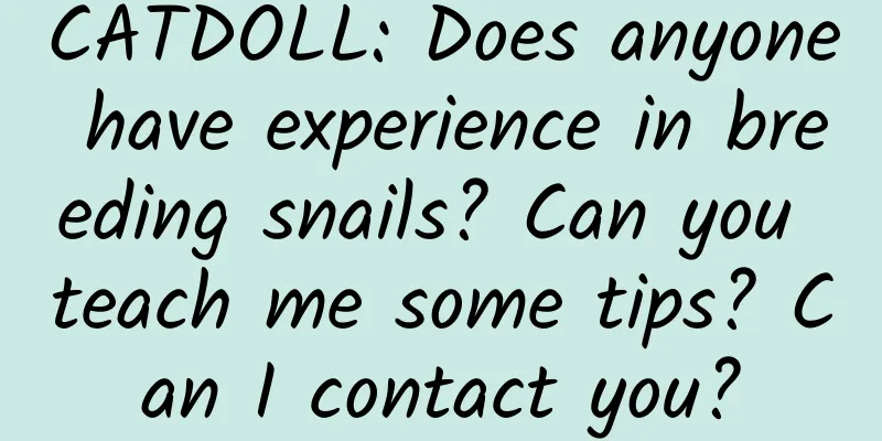 CATDOLL: Does anyone have experience in breeding snails? Can you teach me some tips? Can I contact you?