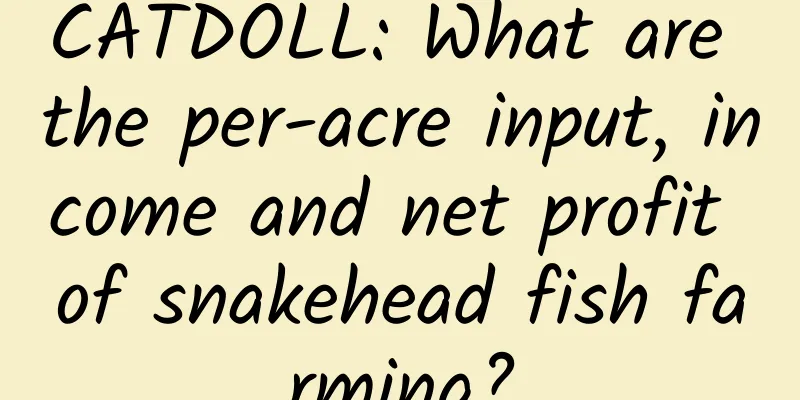 CATDOLL: What are the per-acre input, income and net profit of snakehead fish farming?