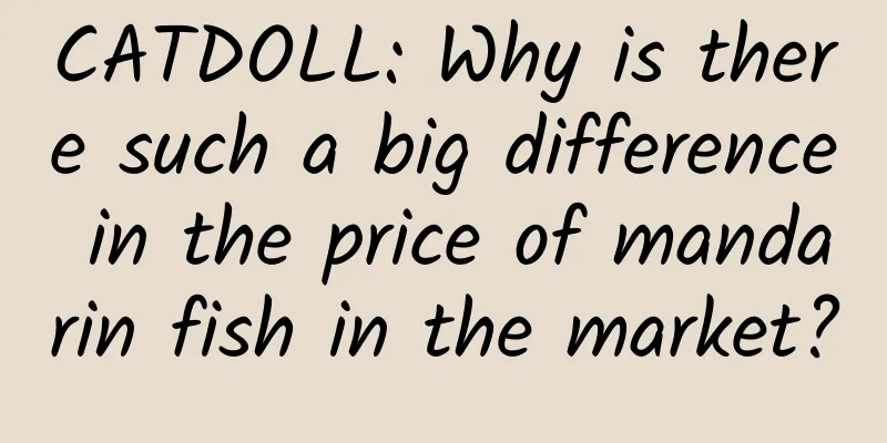 CATDOLL: Why is there such a big difference in the price of mandarin fish in the market?